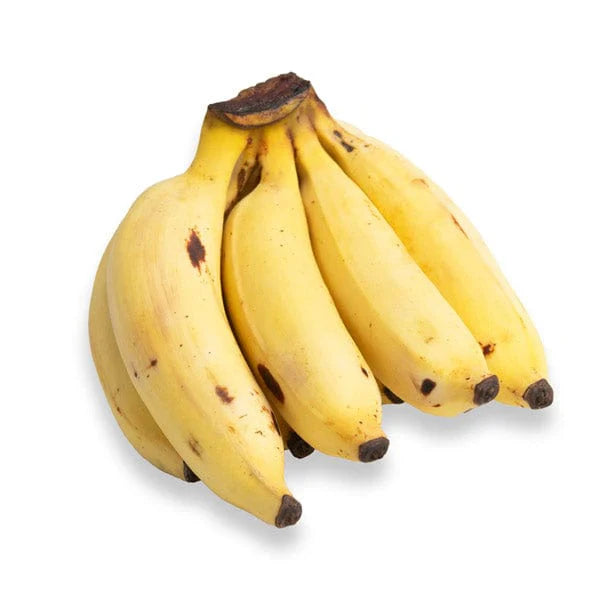 Manzano Apple Banana seeds for planting - Heirloom & Non-GMO tropical ...