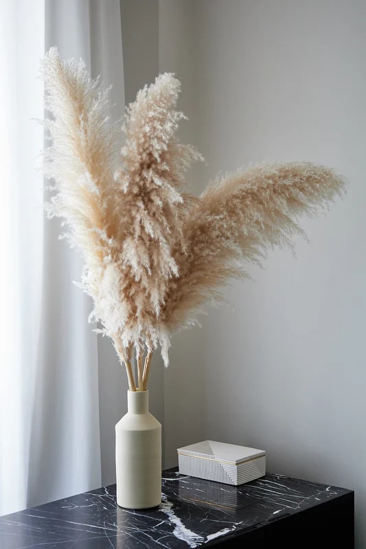 Pampas Flower seeds for Planting - Pollinator Friendly, Heirloom & GMO Free Seeds for Home Garden Non-GMO