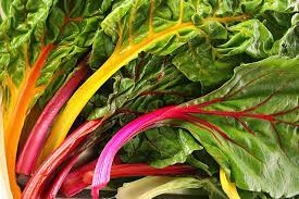 Mixed Chard Vegetable Seeds for Planting – Heirloom &amp; Non-GMO Seeds for Colorful, Nutritious Garden Greens