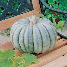 Blue Jarrahdale Pumpkin Vegetable Seeds for Planting – Heirloom & Non-GMO Seeds, Rare Blue-Gray Pumpkins