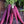 Zanahoria Morada Carrot Seeds for Planting – Heirloom & Non-GMO Vegetable Seeds for Vibrant Purple Harvests