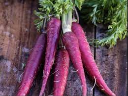 Zanahoria Morada Carrot Seeds for Planting – Heirloom & Non-GMO Vegetable Seeds for Vibrant Purple Harvests