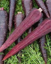 Zanahoria Morada Carrot Seeds for Planting – Heirloom & Non-GMO Vegetable Seeds for Vibrant Purple Harvests