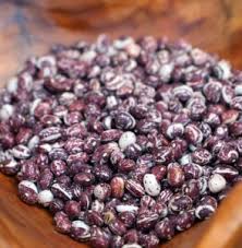 Purple White Stallard Bean Seeds for Planting – Heirloom & Non-GMO Legume Seeds for Flavorful Harvests
