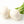 White Turnip Vegetable Seeds for Planting – Heirloom & Non-GMO Garden Seeds for Sweet, Tender Roots