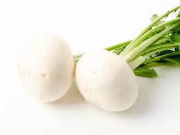 White Turnip Vegetable Seeds for Planting – Heirloom & Non-GMO Garden Seeds for Sweet, Tender Roots