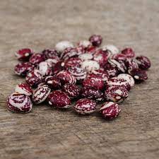 Green Stallard Bean Vegetable Seeds for Planting – Heirloom & Non-GMO Seeds for Hardy Container Legumes