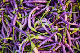 Burgundy Pepper Vegetable Seeds for Planting – Heirloom & Non-GMO Garden Seeds for Vibrant Pepper Harvests