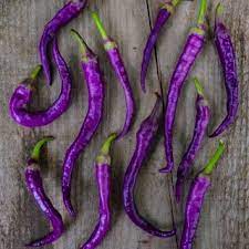 Buena Mulata Hot Pepper Seeds for Planting – Heirloom, Non-GMO, Purple Spicy Organic Garden Seeds – High Germination