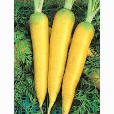Amarillo Vegetable Seeds for Planting – Heirloom &amp; Non-GMO Seeds for Bright, Colorful Garden Harvests