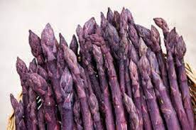Purple Asparagus Vegetable Seeds for Planting – Heirloom & Non-GMO Garden Seeds for Gourmet Spring Spears