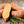 Yellow Batatas Potato Vegetable Seeds for Planting – Heirloom & Non-GMO Garden Seeds for Nutritious Tubers