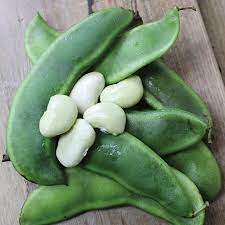 Lima Bean Seeds for Planting – Heirloom Non-GMO Organic Garden Seeds – Creamy Texture, Perfect for Cooking