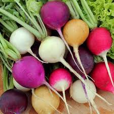 Mixed Radish Vegetable Seeds for Planting – Heirloom &amp; Non-GMO Garden Seeds for Colorful Root Harvests