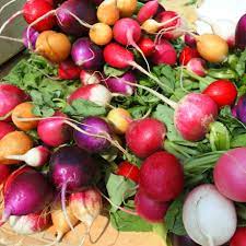 Mixed Radish Vegetable Seeds for Planting – Heirloom &amp; Non-GMO Garden Seeds for Colorful Root Harvests