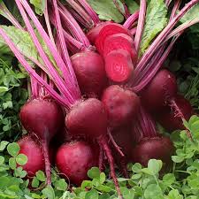 Red Beetroot Vegetable Seeds for Planting – Heirloom & Non-GMO Seeds, Nutrient-Rich Roots for Juicing and Cooking