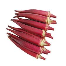 Red Okra Vegetable Seeds for Planting – Heirloom & Non-GMO Seeds for Crisp, Colorful Garden Pods