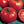 Abe Lincoln Heirloom Tomato Seeds for Planting – Non-GMO Historic Rich Flavor Variety – Organic Garden Seeds