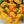 Yellow Jamaicano Vegetable Seeds for Planting – Heirloom & Non-GMO Garden Seeds for Vibrant Plots