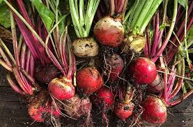 Red Beet Seeds for Planting – Heirloom & Non-GMO Vegetable Seeds for Vibrant, Nutritious Roots