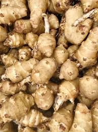 Jerusalem Artichoke Seeds for Planting – Heirloom & Non-GMO Seeds for Nutritious Fall Root Crops