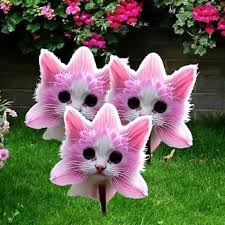 Cute Pink Cat&