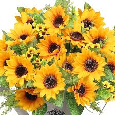 Sunflower Flower Seeds for Planting – Vibrant Colors, Heirloom, Non-GMO, High Germination Garden Seeds