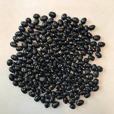 Black Coco Bean Seeds for Planting – Heirloom Non-GMO, High Germination Organic Garden Seeds