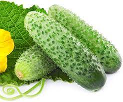 Vegetable Seeds,Garden seeds, Seeds For Planting,Plant Seeds