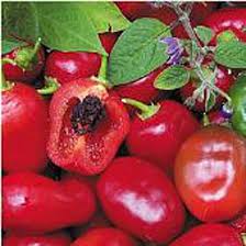 Rocoto Pepper flower seeds for planting - Heirloom & Non-GMO Garden Seeds