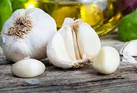 Clove Garlic Seeds for Planting – Heirloom, Non-GMO, Bold Flavor Organic Garden Seeds – High Germination Bulbs