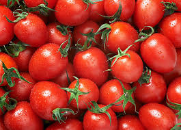 Mixed Red Tomato Seeds for Planting - Heirloom, Non-GMO Organic Garden Seed Blend for Variety, Flavor & High Germination