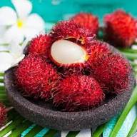 Rambutan Red Fruit Seeds for Garden Planting – Heirloom Non-GMO High Germination Organic Garden Seeds