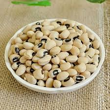 Vegetable Seeds for Planting – Non-GMO Heirloom Organic Garden Seeds Mix for Home Gardens