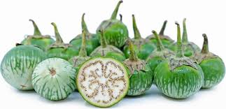 thai garden seeds Thai Eggplant Vegetable Seeds for Planting – Heirloom & Non-GMO Garden – Earthechoseeds