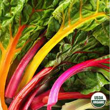 Chard Plant Seeds for Planting – Heirloom Non-GMO, High Germination Organic Garden Seeds