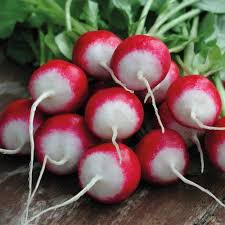 Radish Seeds for Planting - Red Mix Heirloom, Non-GMO, High Germination Organic Garden Seeds