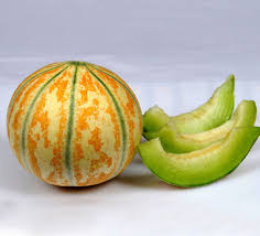 Musk Melon Seeds for Planting – Heirloom, Non-GMO, Juicy Organic Garden Seeds – High Germination, Sweet Aromatic Fruit