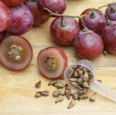 Brown Grapefruit fruit seeds for planting - Heirloom & Non-GMO Garden seeds