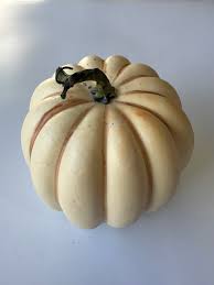 Cream Pumpkin Vegetable Seeds for Planting – Heirloom & Non-GMO Garden Seeds