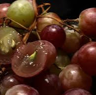 Brown Grapefruit fruit seeds for planting - Heirloom & Non-GMO Garden seeds