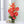 Anthurium Flower Seeds for Planting - Bright Blooms, Heirloom & Non-GMO Organic Garden Seeds - High Germination