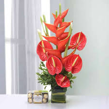 Anthurium Flower Seeds for Planting - Bright Blooms, Heirloom & Non-GMO Organic Garden Seeds - High Germination
