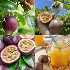 Mixed Passion Fruit seeds for planting - Heirloom & Non-GMO Tropical Garden seeds