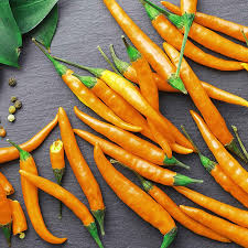 Cayenne Peppers Vegetable Seeds for Planting – Heirloom & Non-GMO Garden Seeds