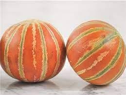 Kajari Melon Seeds for Planting – Heirloom, Non-GMO, Sweet Striped Organic Garden Seeds – High Germination Melons