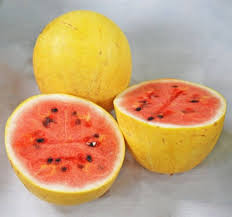 Golden Midget Watermelon fruit seeds for planting – Heirloom & Non-GMO sweet mini garden seeds