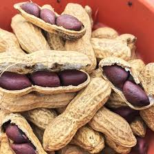 Black Peanut Seeds for Planting – Heirloom Non-GMO Organic Garden Seeds with High Germination for Vegetables