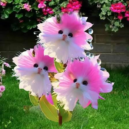 Red Cat Face Flower Seeds 