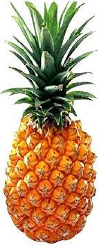 Fruit Seeds,Garden seeds, Seeds For Planting,Plant Seeds
